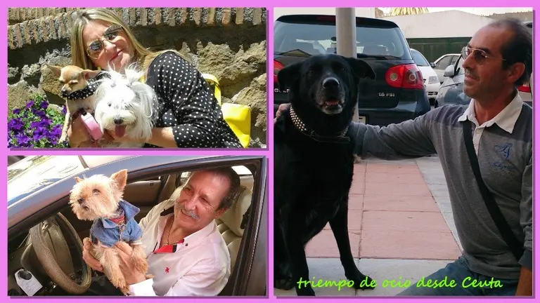 El Collagero 10-25-2015 14_56_15