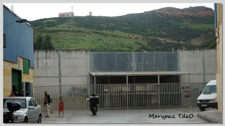 El Collagero 11-19-2015 01_36_35