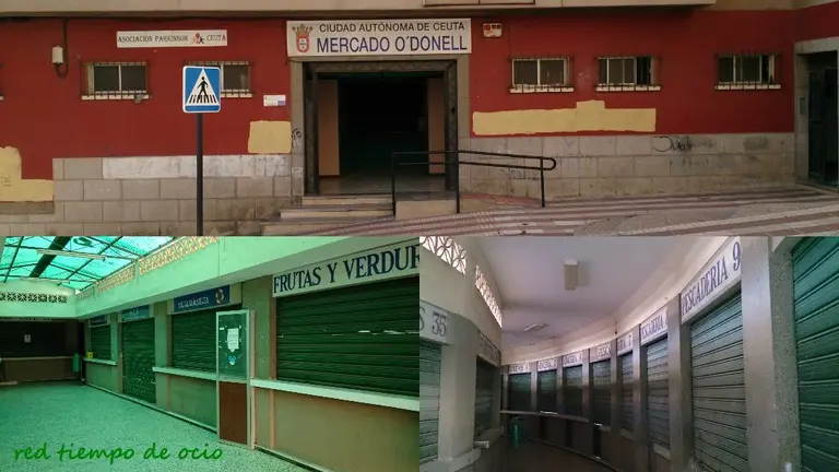 El Collagero 01-22-2016 02_39_35