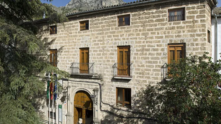 cazorla1