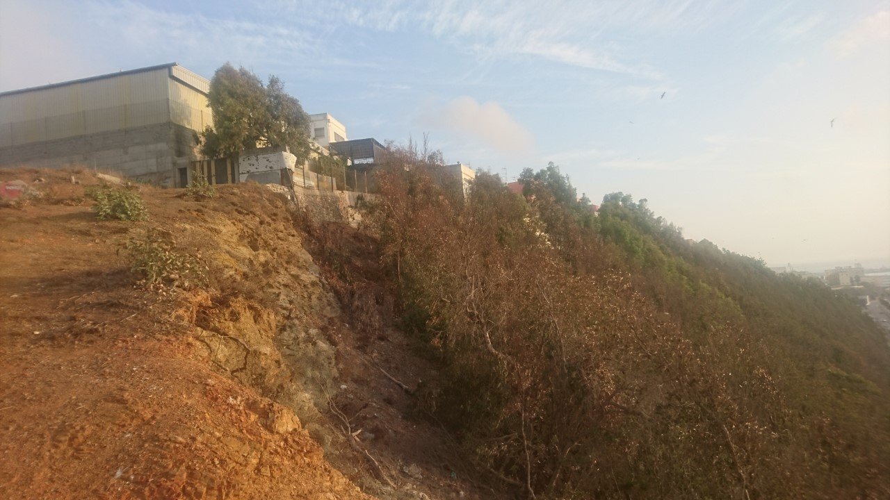 thumbnail_image1