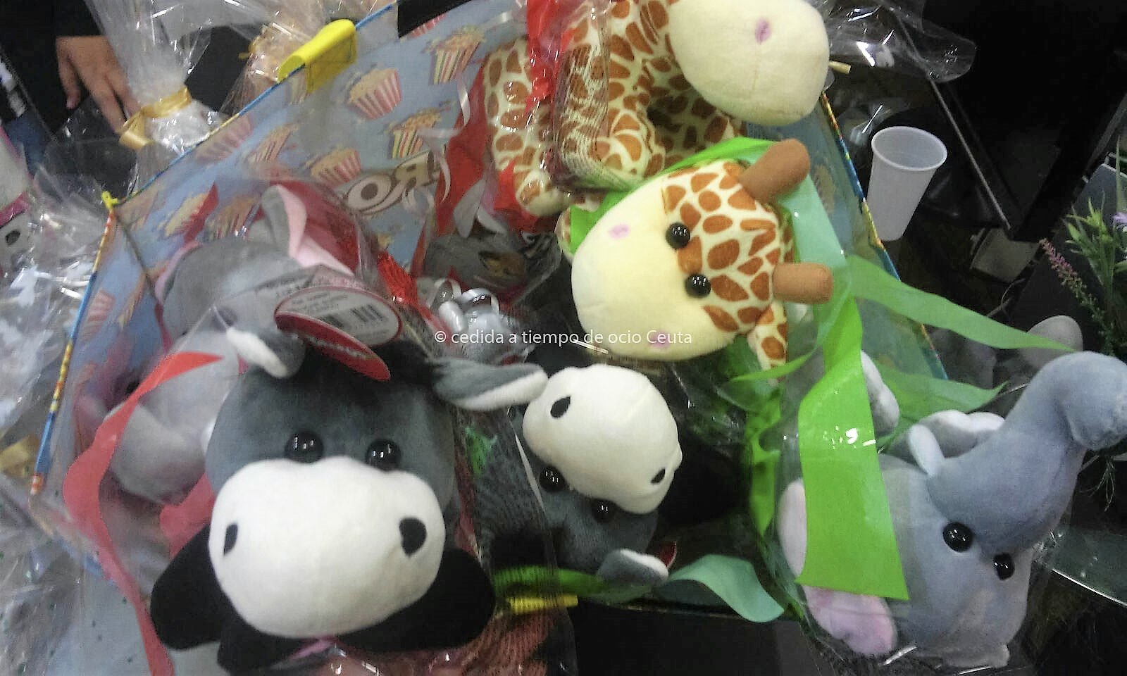 IMG-20161012-WA0004